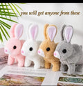 Beautiful Toy Rabbit