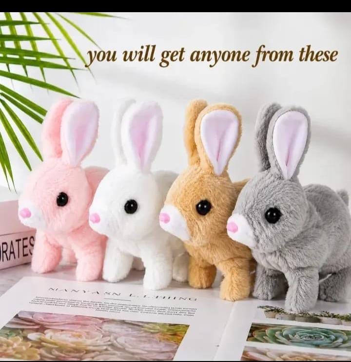 Beautiful Toy Rabbit